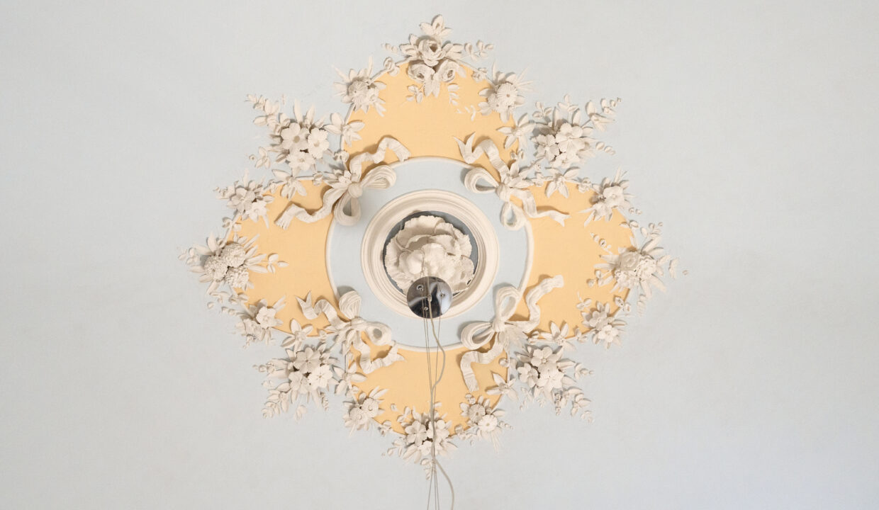 n21 dettaglio soffitto